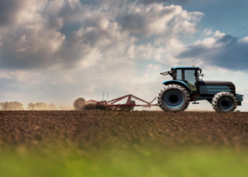 TCKN Son Hanesi 0, 2, 4; VKN Son Hanesi 0, 1, 2, 3, 4, 5, 7, 9 Olanlara Tarımsal Destek!