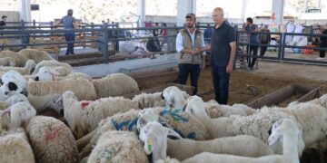 Nisan 2026 Kurbanlık Fiyatları ve Kesim Ücretleri Belli Oldu!