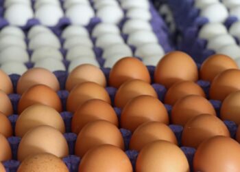 Yumurtaya Yüzde 25 İndirim Geldi!