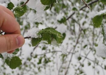 Meteorolojiden Zirai Don Uyarısı: Nisan Ayında Kara Kış Geliyor!